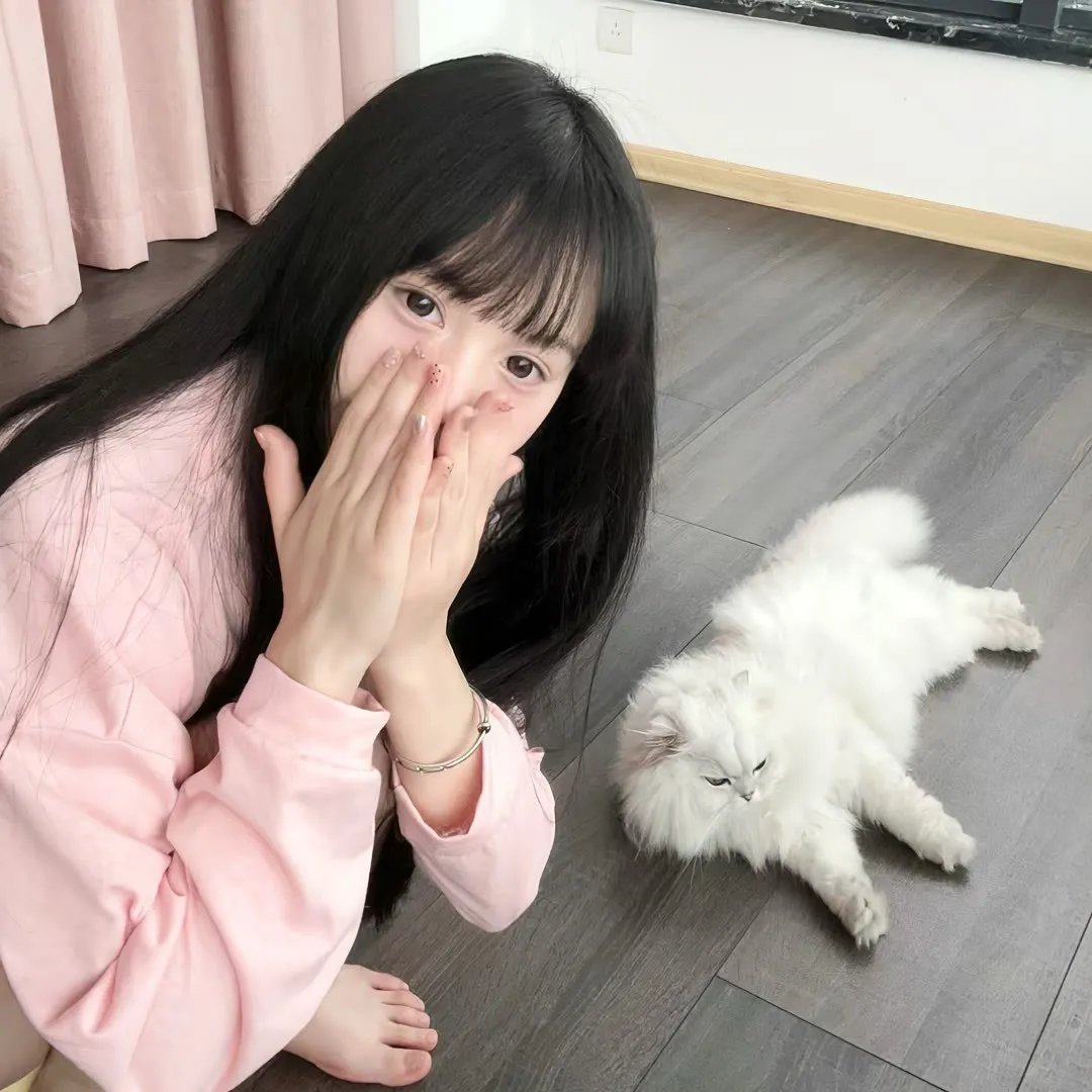历年卫视春晚
